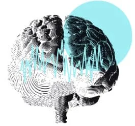 Brain scan 1