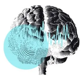 Brain scan 2